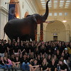 Portraits by Kimberly > Field Museum of Natural History - Main Gallery